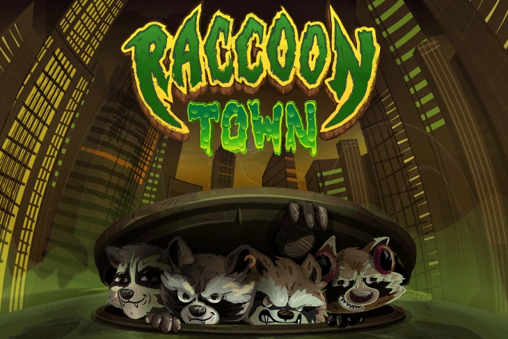 05002 raccoon town