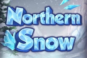24867 northern snow